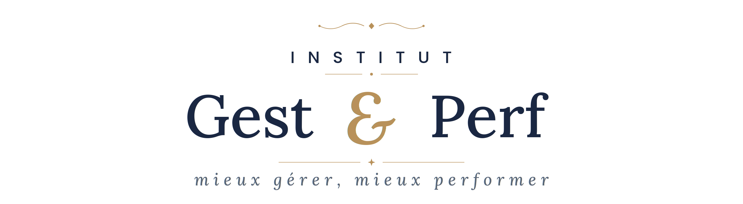 Institut Gest&Perf
